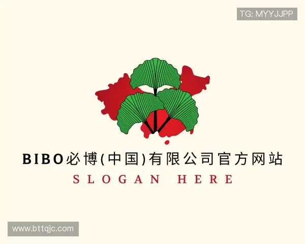 解读bibo必博